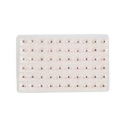Semillas herbales para aurículo (300 uds)