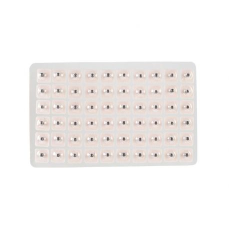 Semillas herbales para aurículo (300 uds)