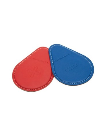 Pares biomagneticos 2