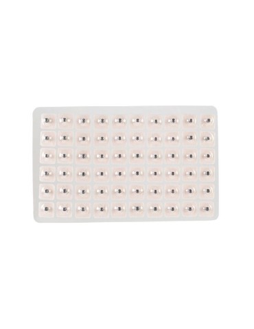 Semillas herbales para aurículo (300 uds) 2