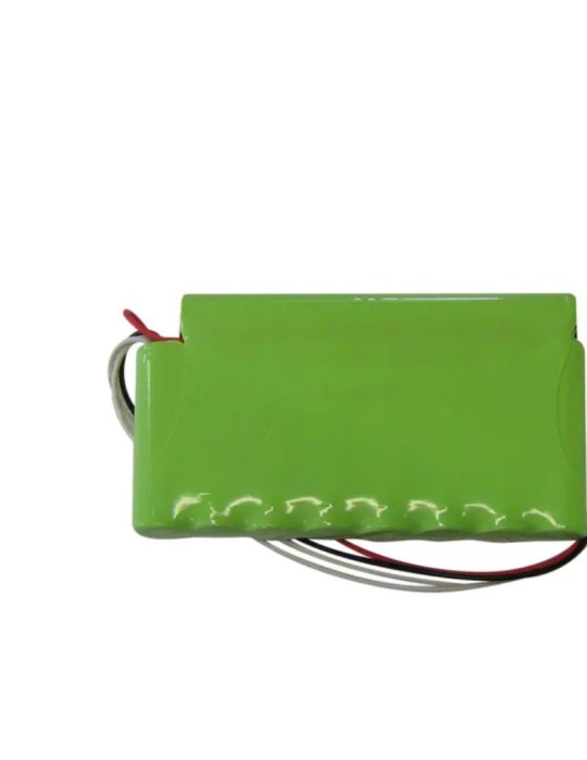 Batería Globus 2000mAh 1 unidad