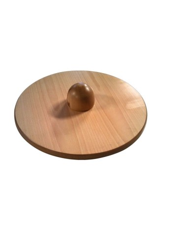 Plato de Bohler diámetro 50 cm 2