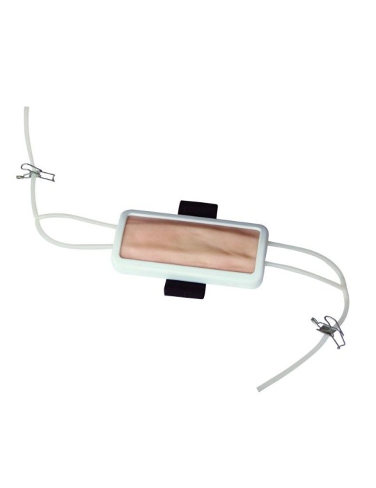 Simulador de Inyección HC