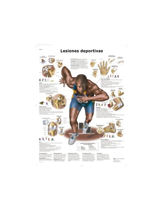 Lámina Lesiones Deportivas