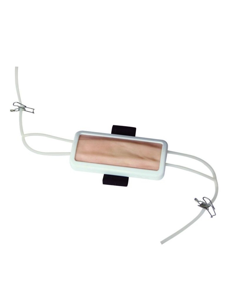 Simulador de Inyección HC