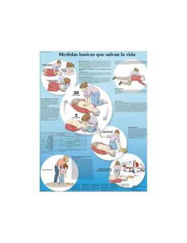 Lámina Medidas Basicas Que Salvan La Vida 2