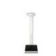Báscula Electrónica de Columna SECA Línea Profesional 769