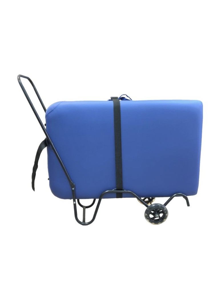 Carrito Transporte HC