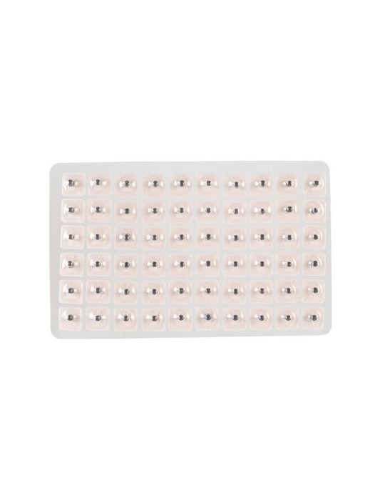 Semillas herbales para aurículo (300 uds)