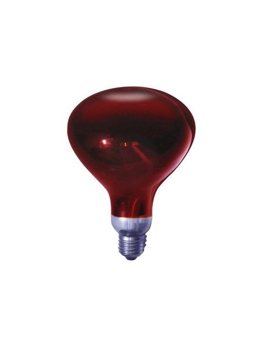 Bombilla infrarrojos R125  250 watios