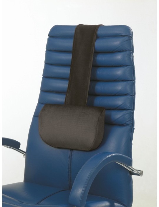 Apoyo cervical y dorsal Harley