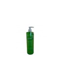 Gel Aloe Vera, 500 ml.