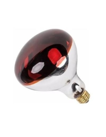 Bombilla infrarrojos R125  250 watios 2