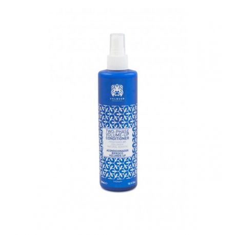 VALQUER ZERO VOLUME-UP ACOND BIFASICO 300 ML