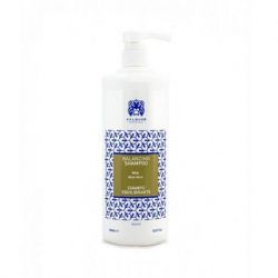 VALQUER CHAMPU EQUILIBRANTE ALOE VERA 1000ml