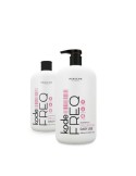 PERICHE KODE FREQ CHAMPU FRECUENCIA 500 ML