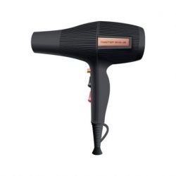 AG SECADOR TWISTER SKY 2400W N-ROSE GOLD