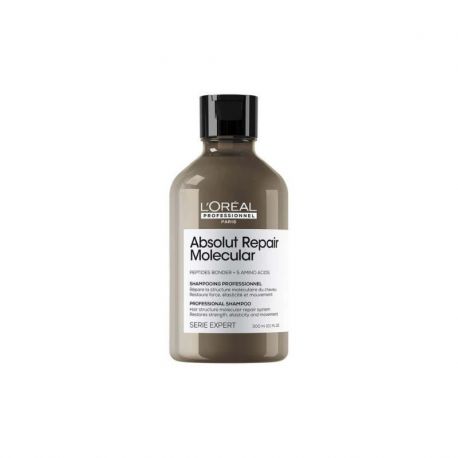 SERIE EXPERT AR MOLECULAR CHAMPU 500ml