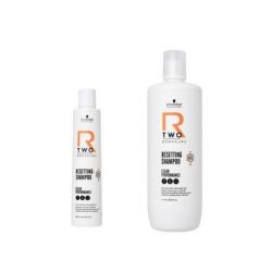 BC R-TWO Shampoo 1000ml